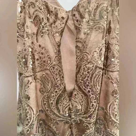 R&M Richard’s Taupe Sheath Dress with Rosegold Sequin Overlay - Picture 3 of 5